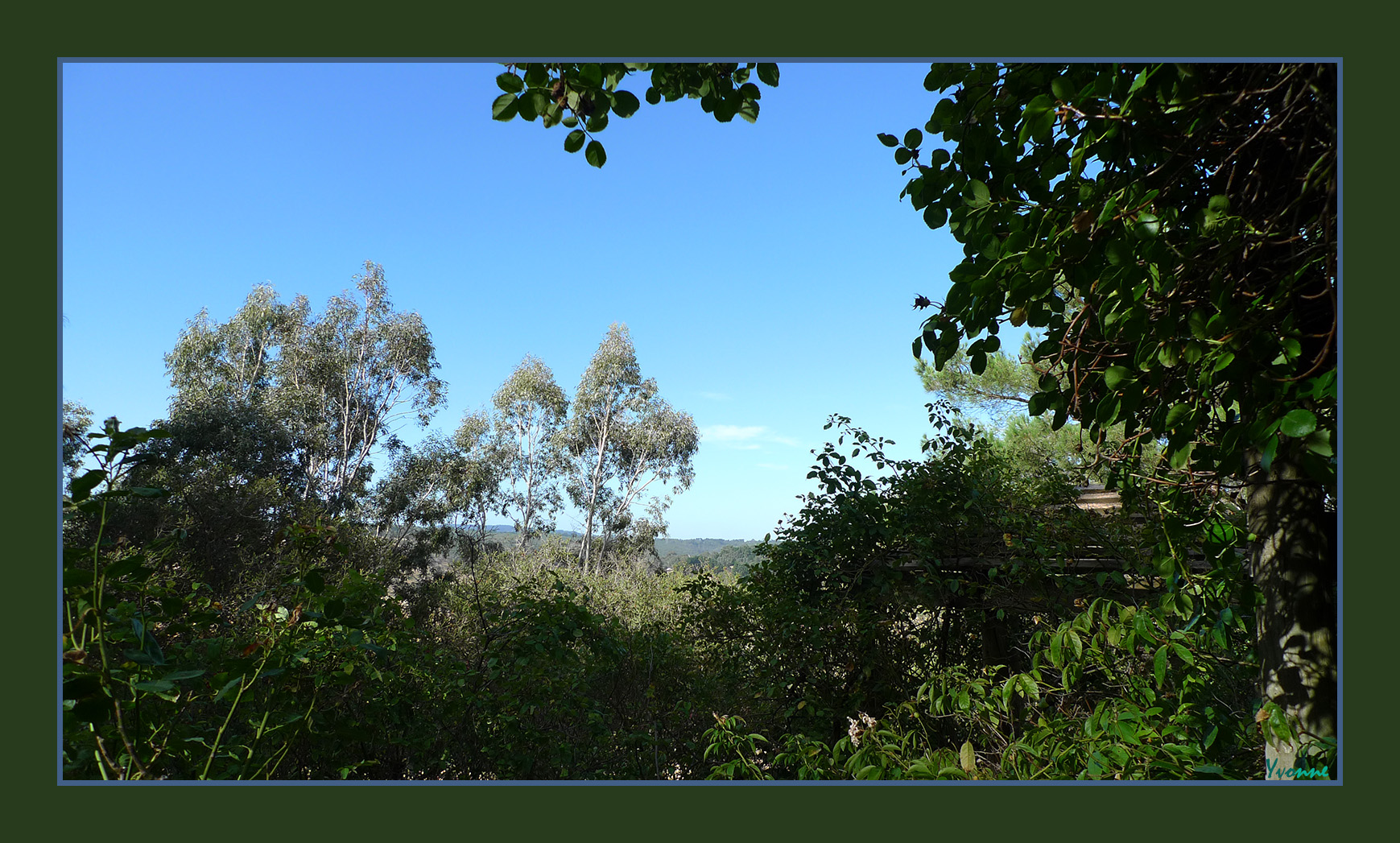 Blue Skies - late Summer