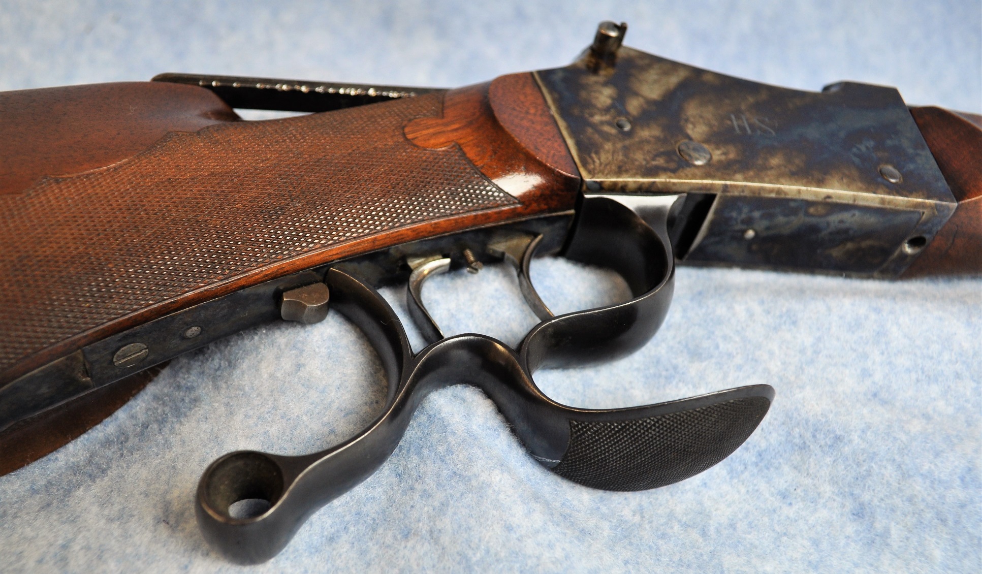 Trigger Guard/Integral Palm Rest