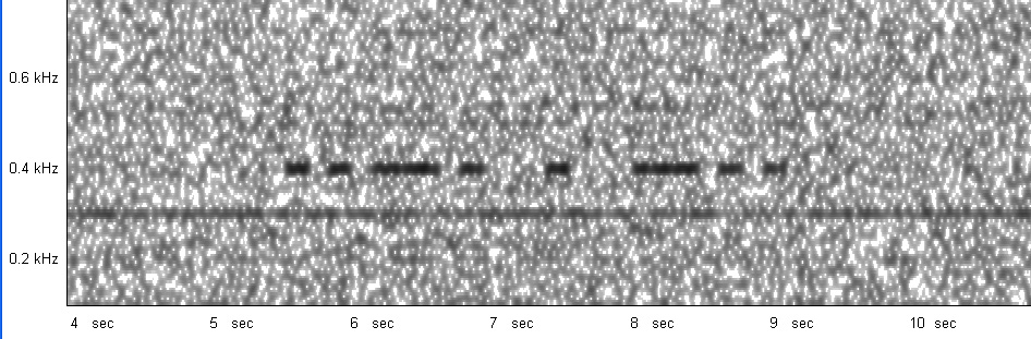 FED_NDB_535kHz_Mar042018_0202z_Twente_rem.jpg