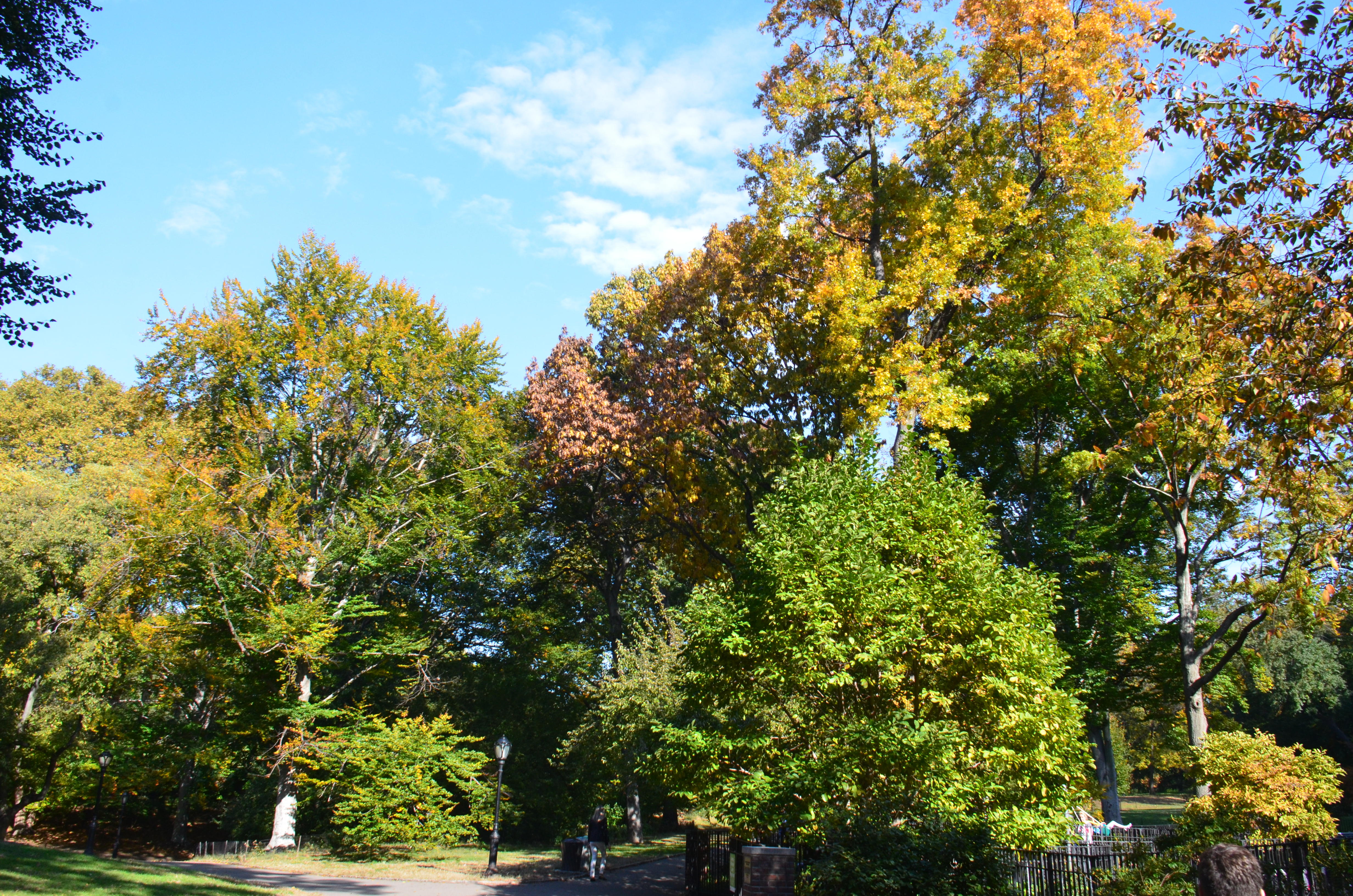 NYC_Nov_2018_0070.JPG