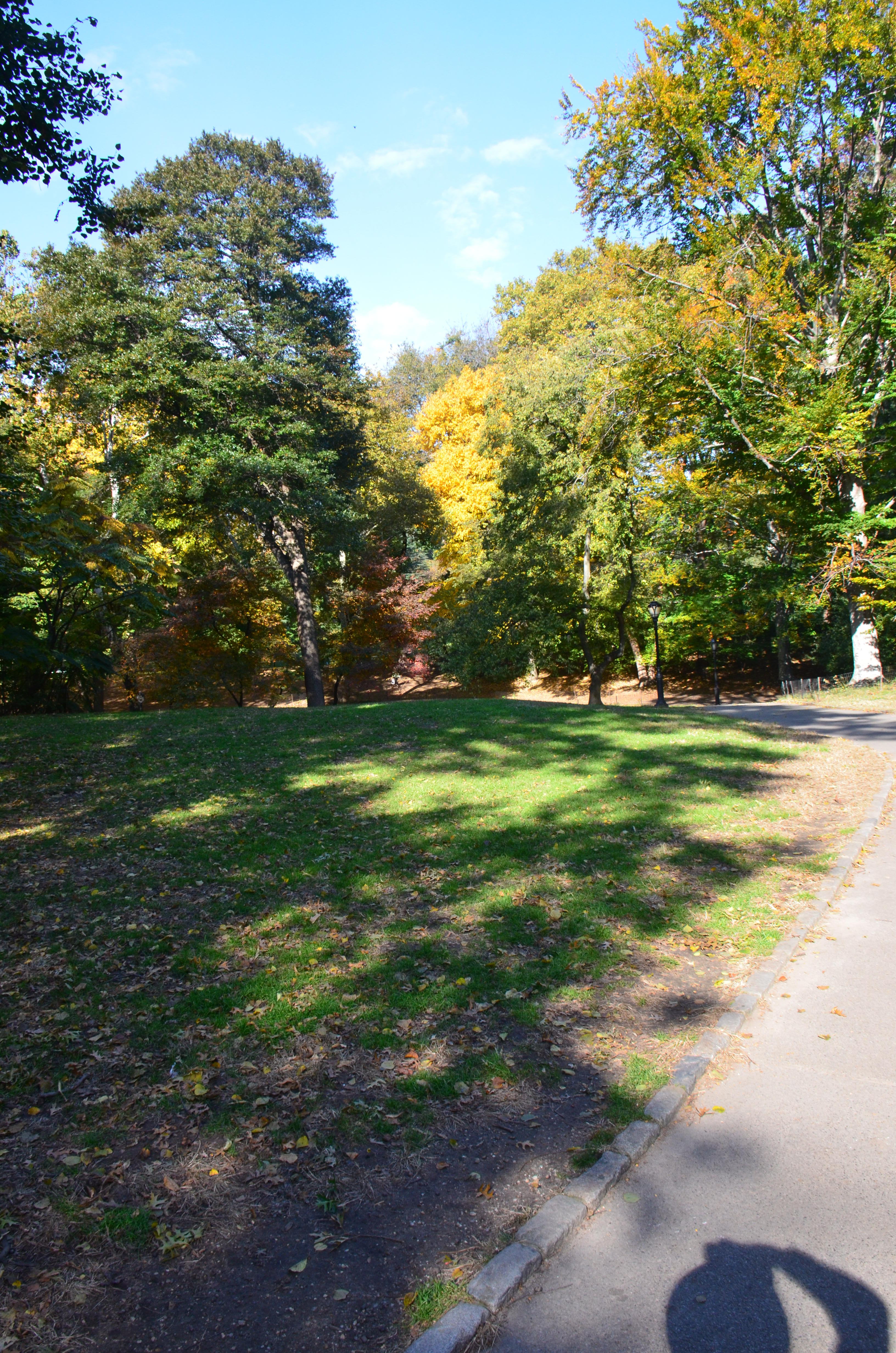 NYC_Nov_2018_0071.JPG