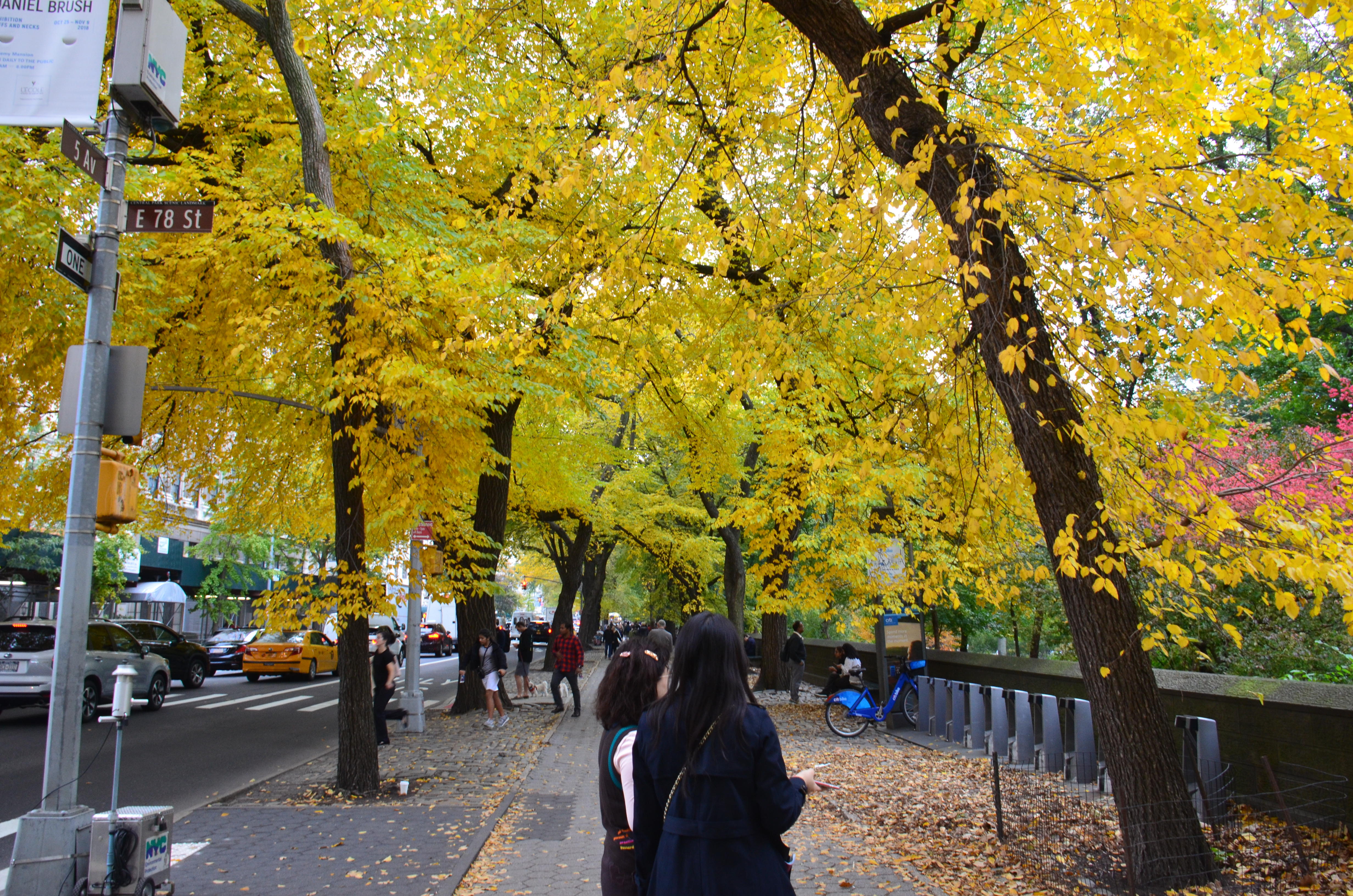 NYC_Nov_2018_0146.JPG