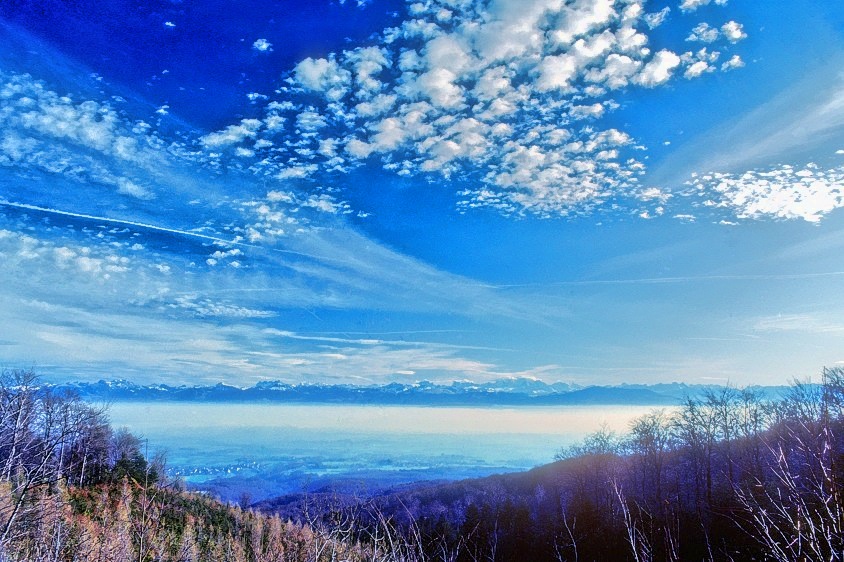Alps View 