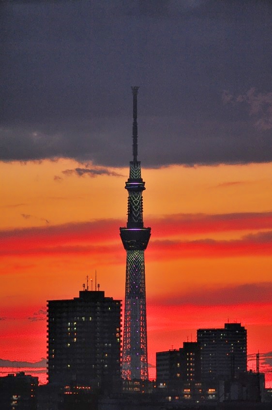 Sky Tree Set