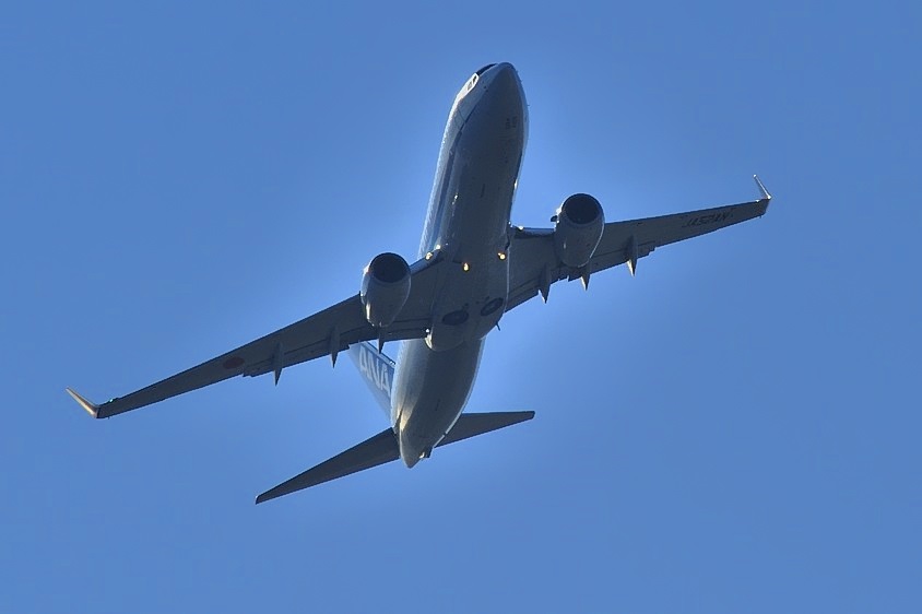 ANAs B737/800, JA52AN, Climbing