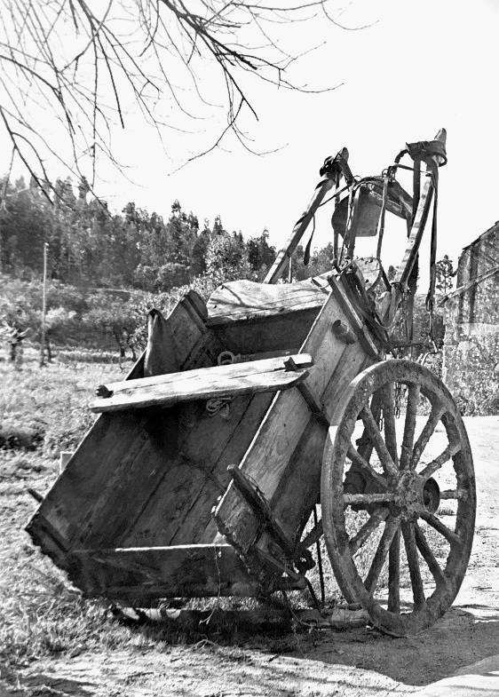 CARROCA-Portugals Favourite Transport