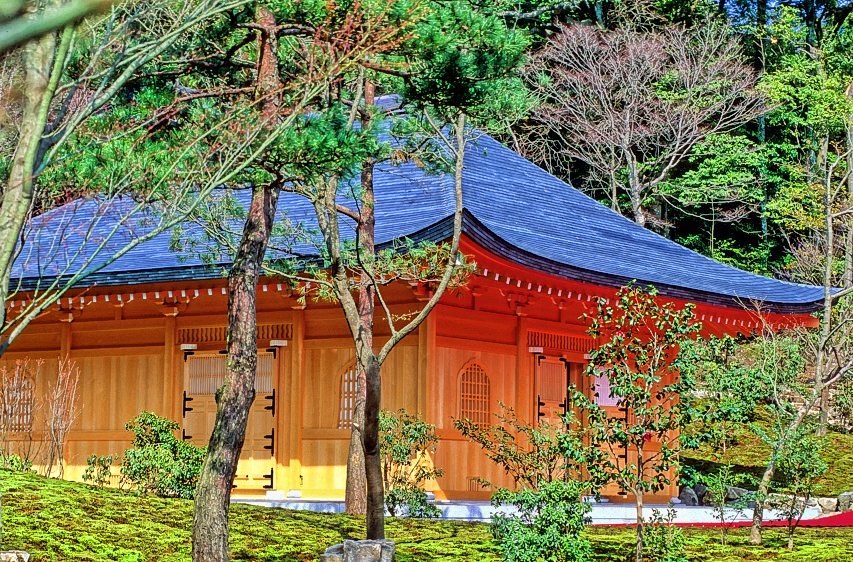 Small Pavilion, Looks Golden With The Light!