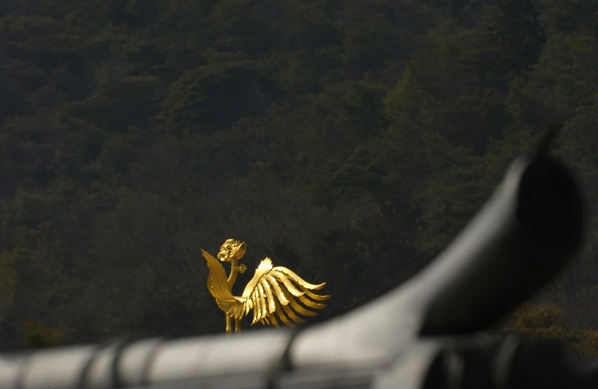A Glimpse Of The Gold