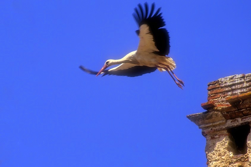 Lift Off From Gone Castle 