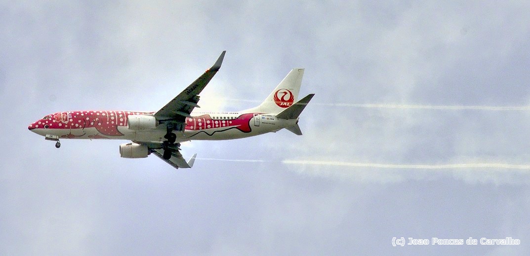 The Whales Trail JTA B-737/800, JA06RK