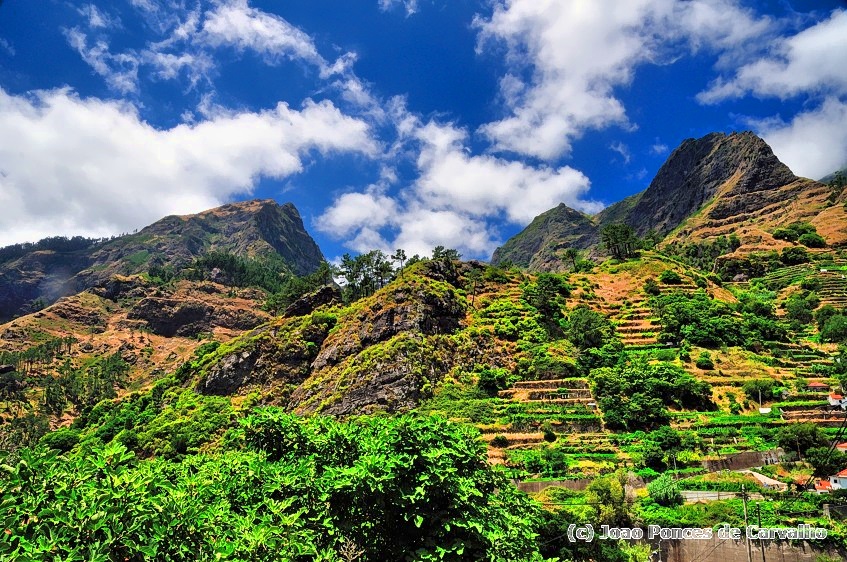 Typical Madeira Landscape