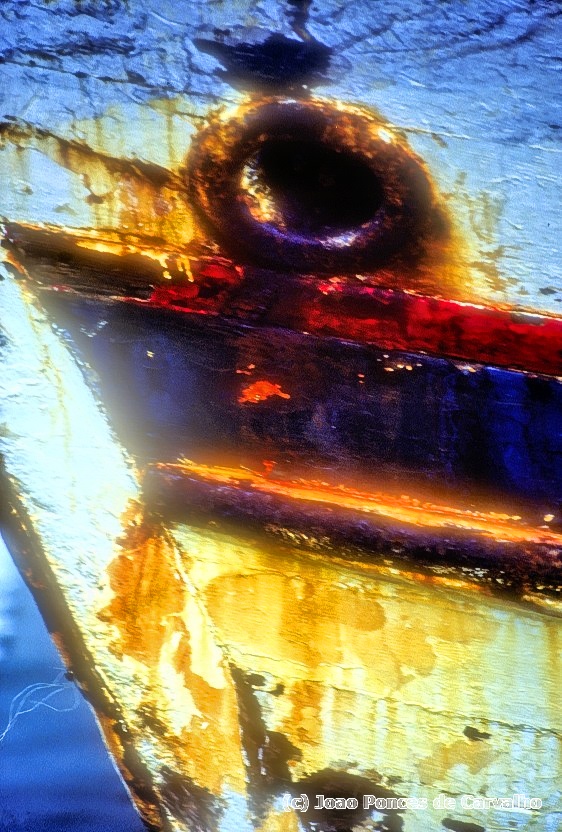 Eye of the Boat 