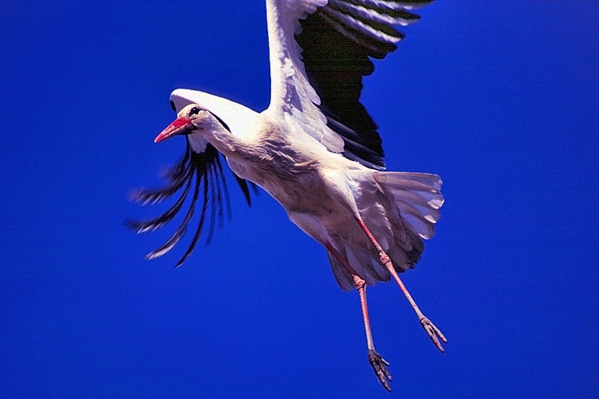Liftoff