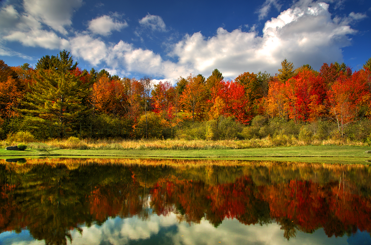 Reflections Of Vermont