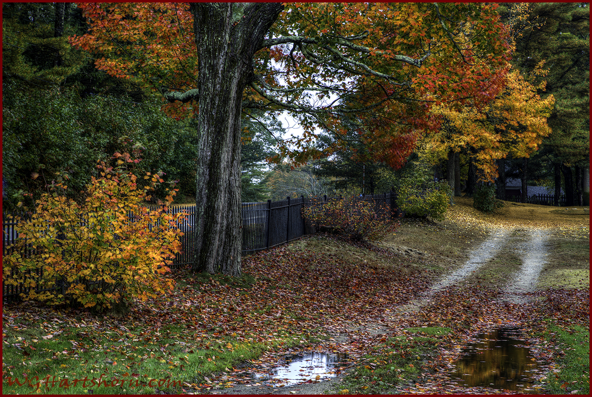 New Hampshire Autumn Backroad