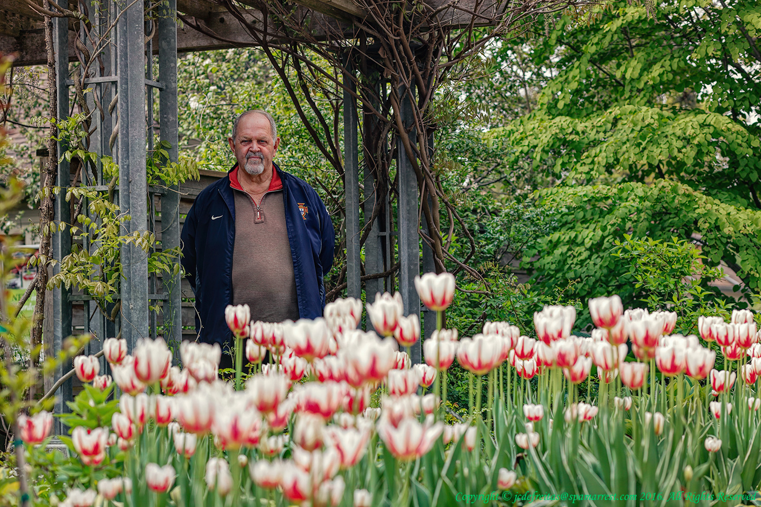 2017 - Ken at Edwards Garden (Canada 150 Tulip) - Toronto, Ontario - Canada