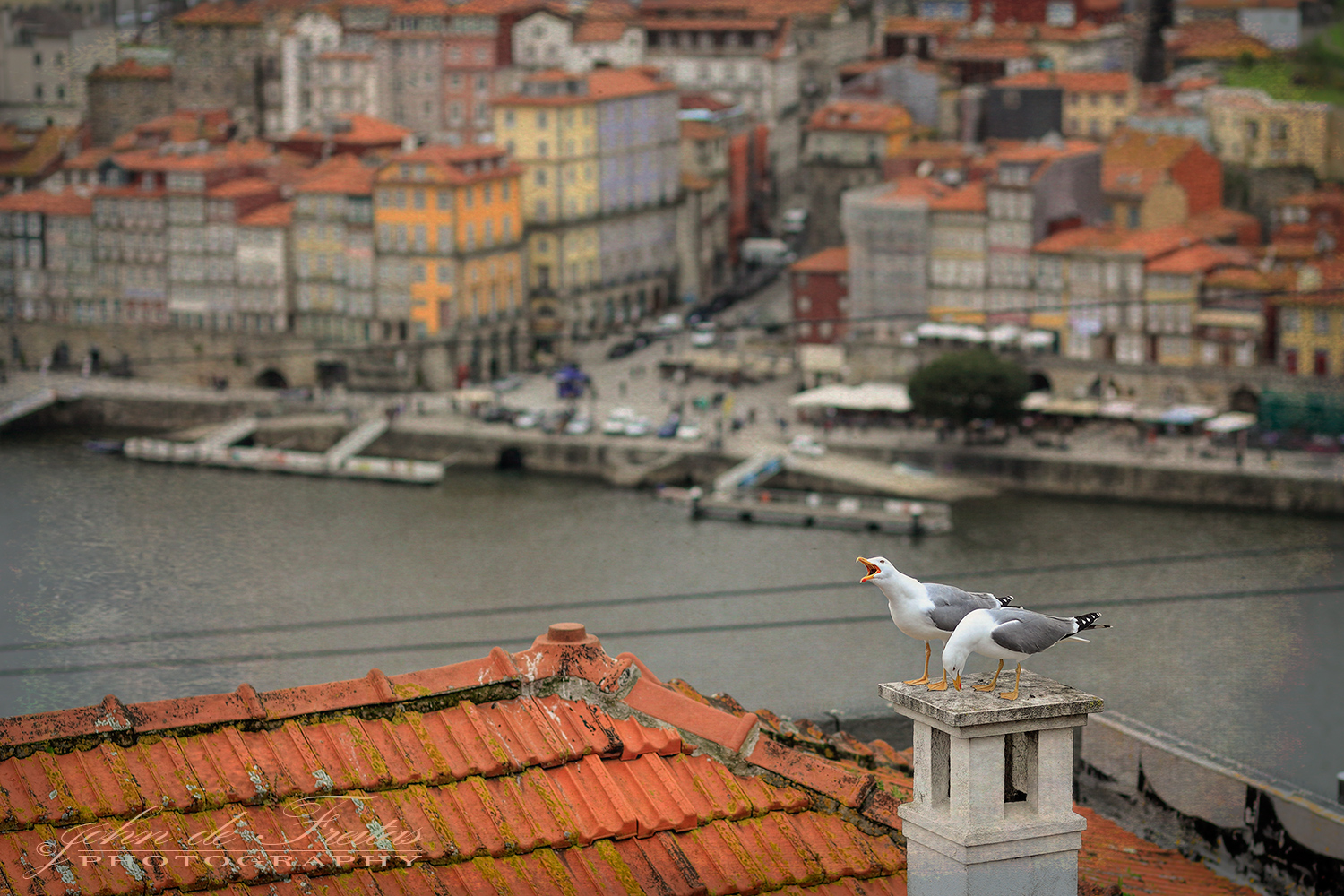 2018 - Porto - Portugal