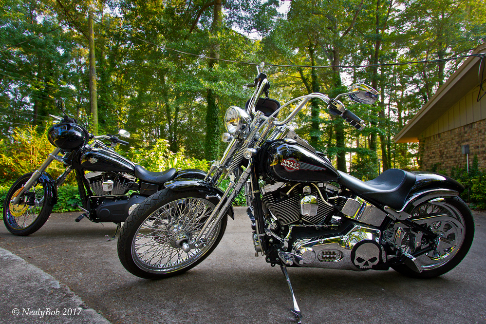 Harleys May 19