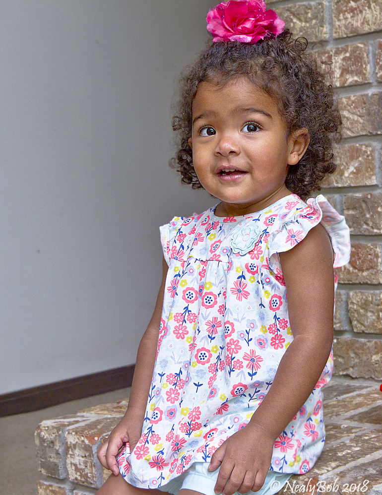 LuLu November 6
