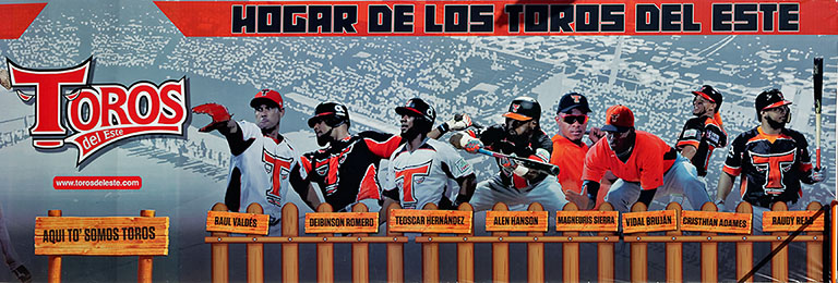images of some of the Toros del Este baseball team