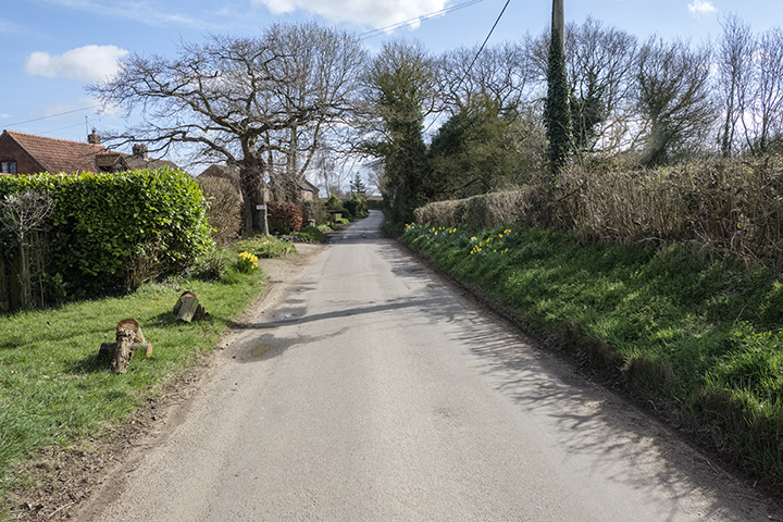 DSCF2539.jpg