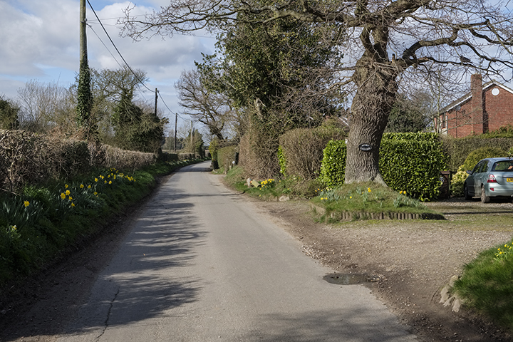 DSCF2619.jpg