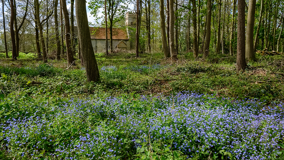 St Michael and  All Angels