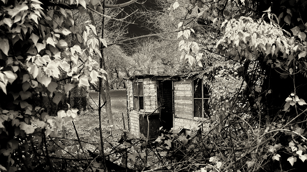 The Old Shed