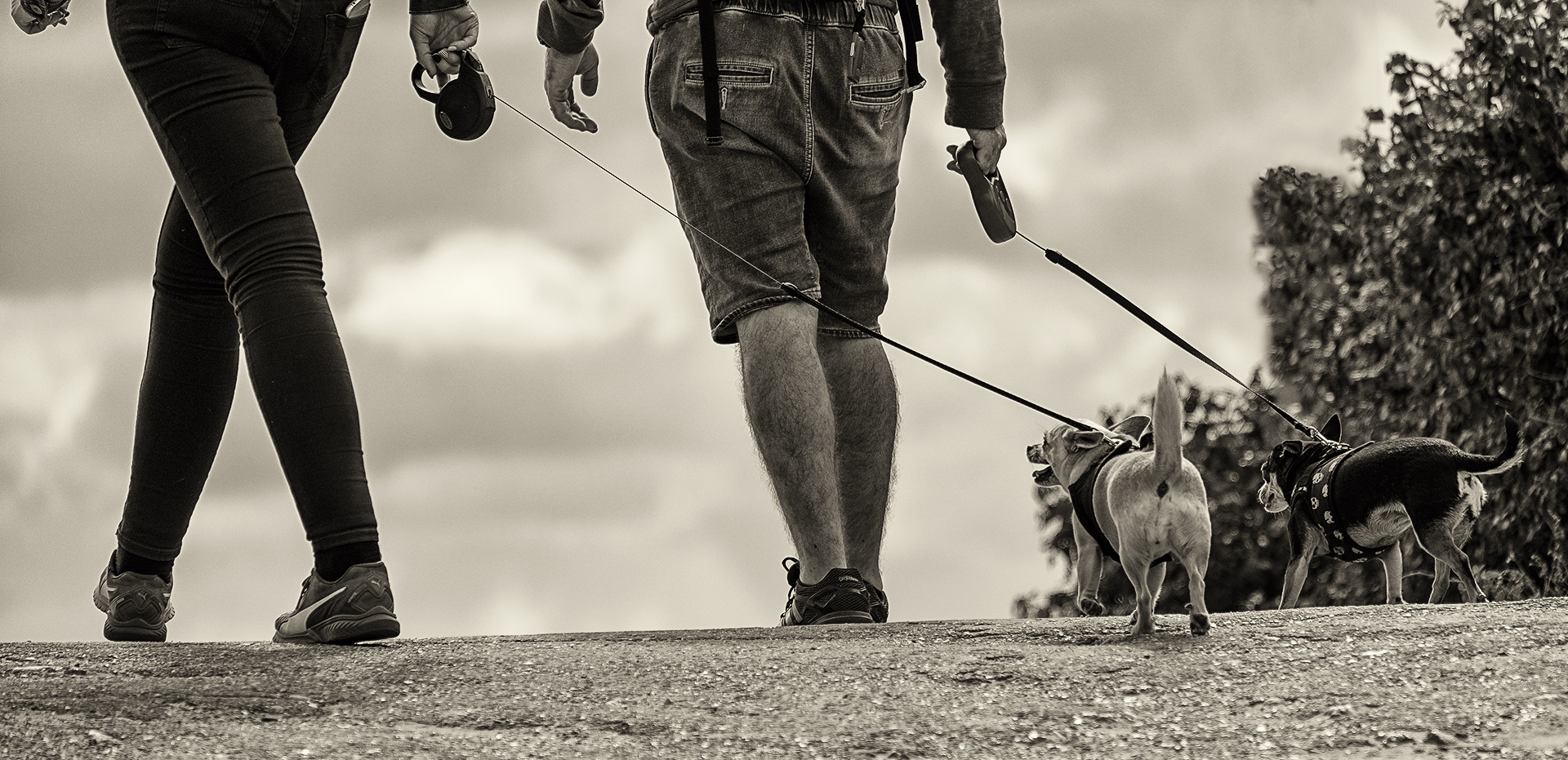 Walkies