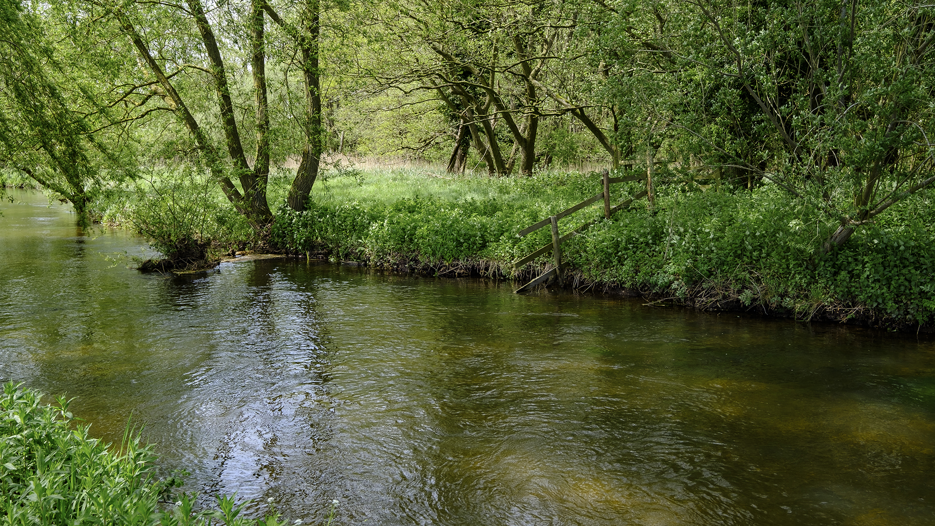 Bintree Mill