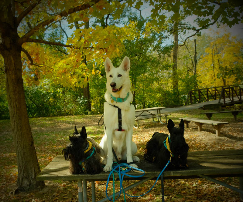 Hike at Deep River