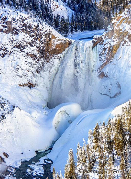 Winter at Grand Canyon of the Yellowstone