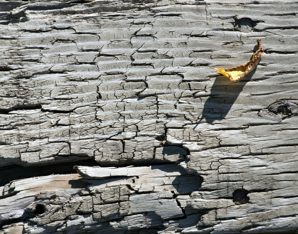 pb09-08-13-1127.jpg