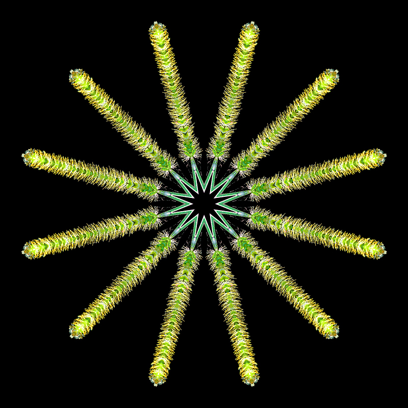 Kaleidoscopic creation with a grass seen in the forest