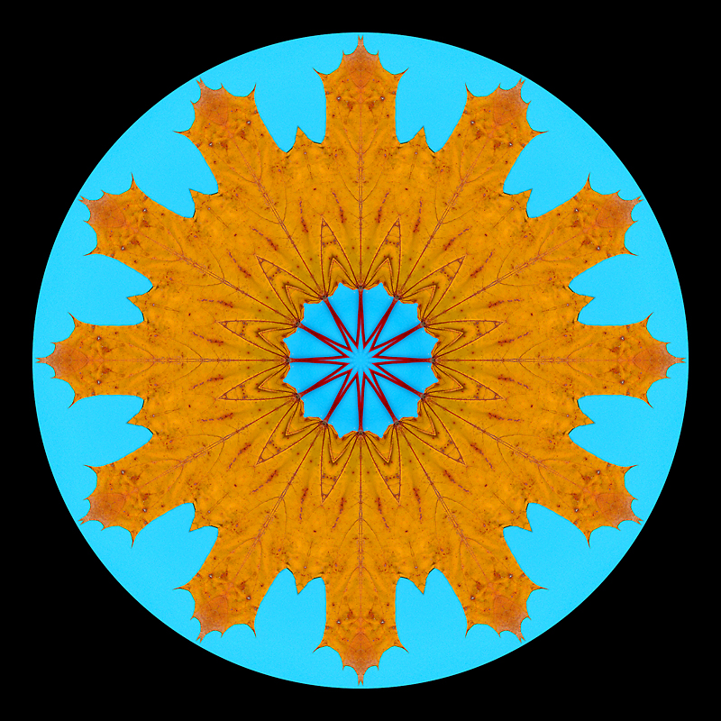 Kaleidoscope created with an autumn leaf in November