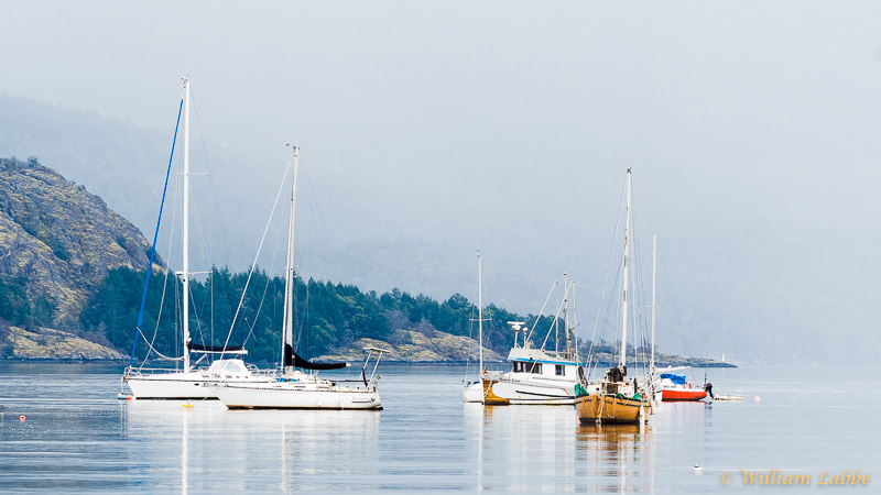 William LabbéCowichan Bay
