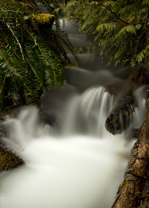 Don Brown  Creek Waterfall