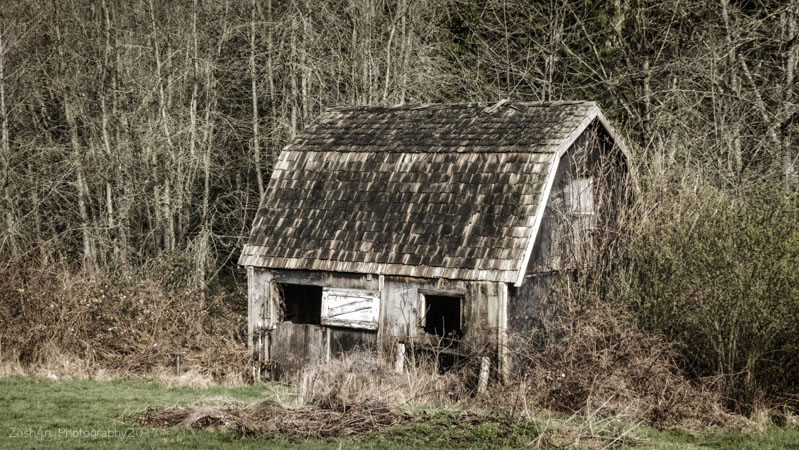 Zosia MillerCowichan Valley Barn