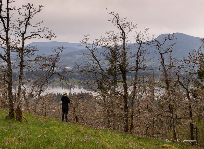 Jan HeerwagenTaking in the View