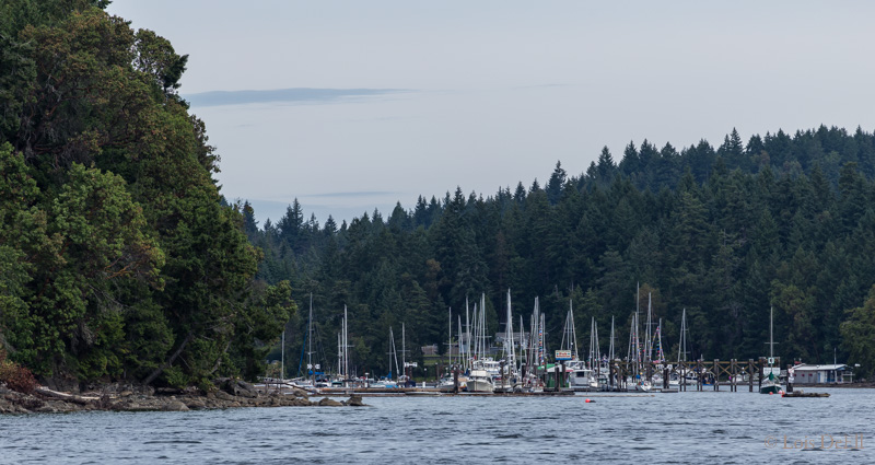 Lois DeEllThetis Island Marina