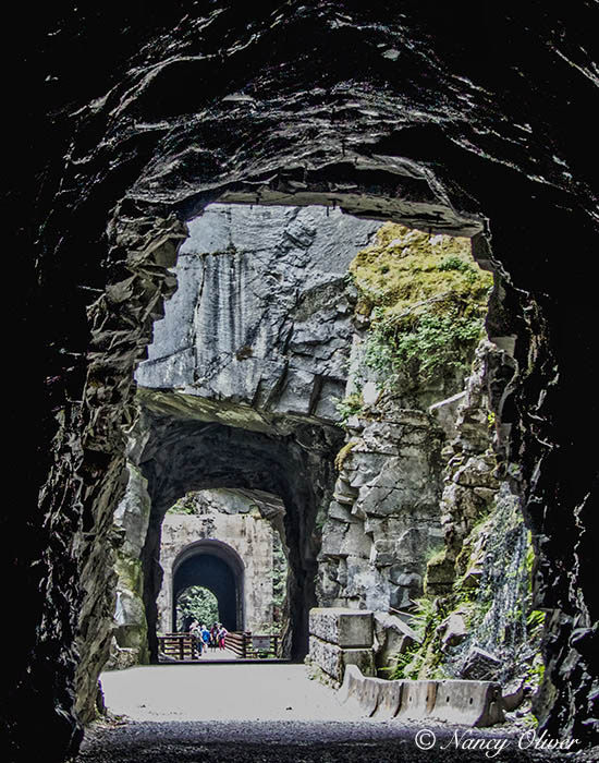 Nancy OliverOthello Tunnels 