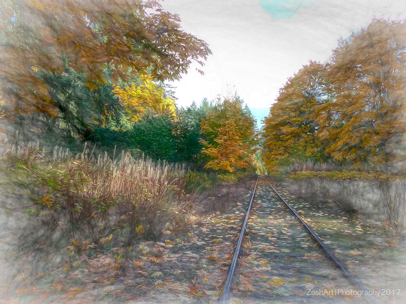 Zosia Miller<br>Cowichan Station Tracks
