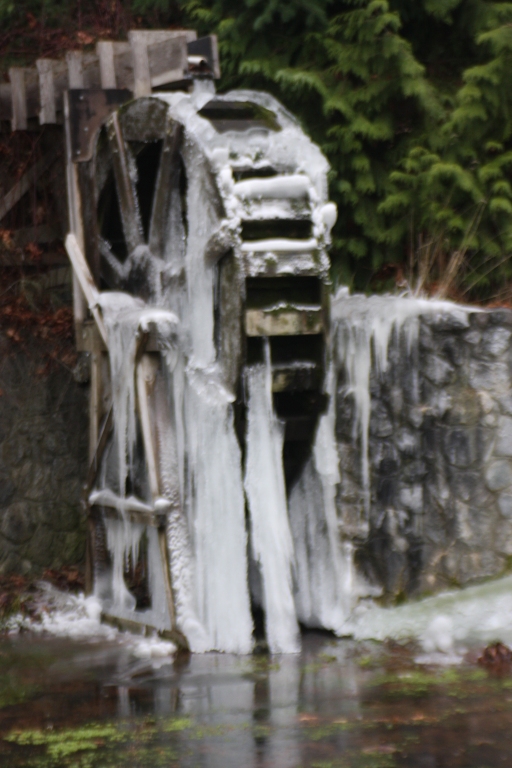 Atholl Cropper2010 North Shore Photographic ChallengeFrozen in Time