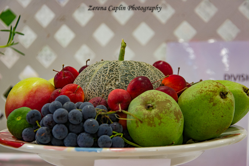 Zerena Caplin18 Fruit