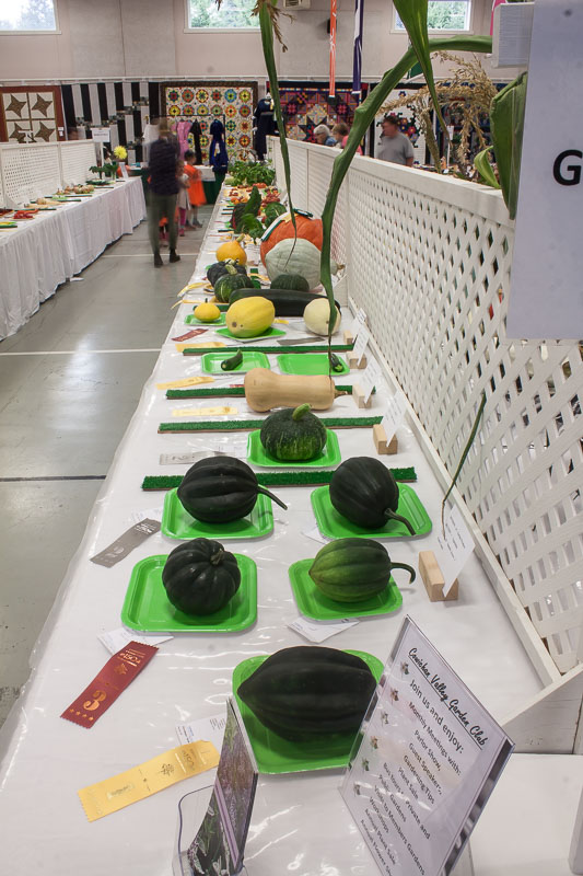 Carl Erland 4 Vegtable