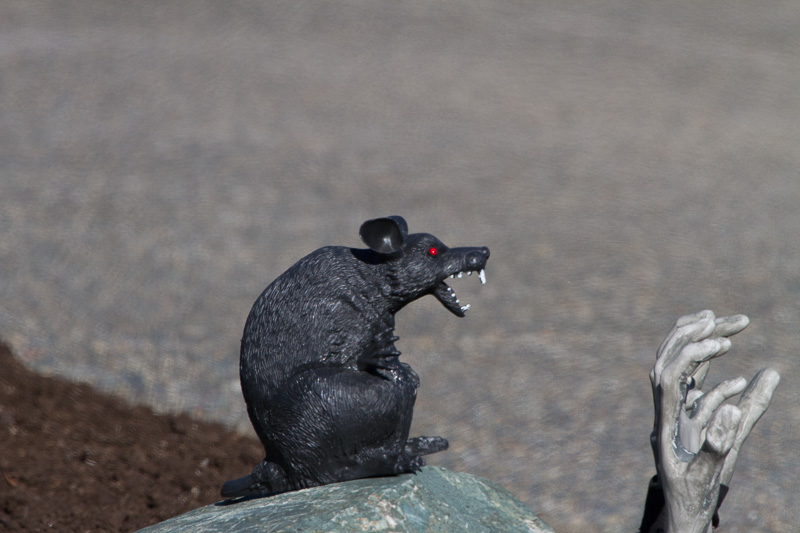 Carl Erland  RATS give me a Hand
