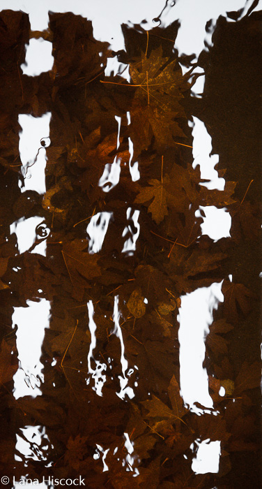 Lana HiscockFall Reflection