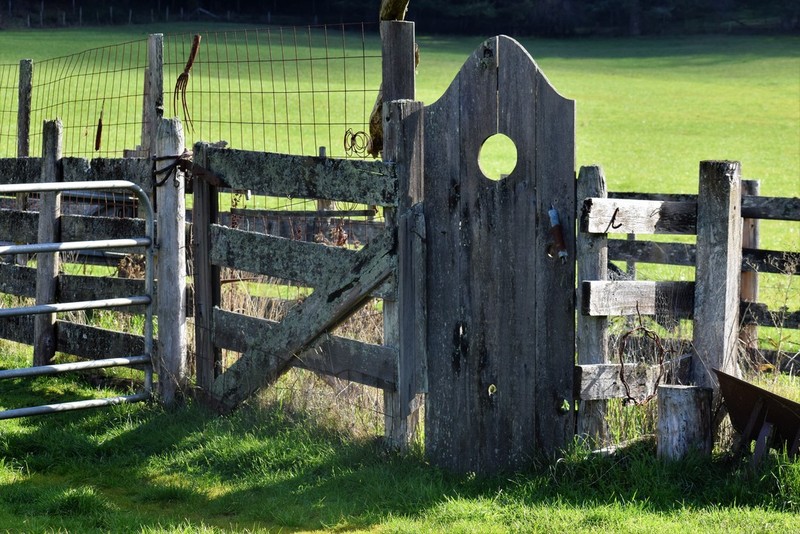 Barb Peters  Farm Door