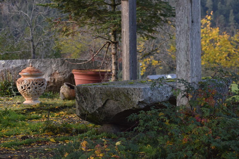 Barb Peters Farm Yard