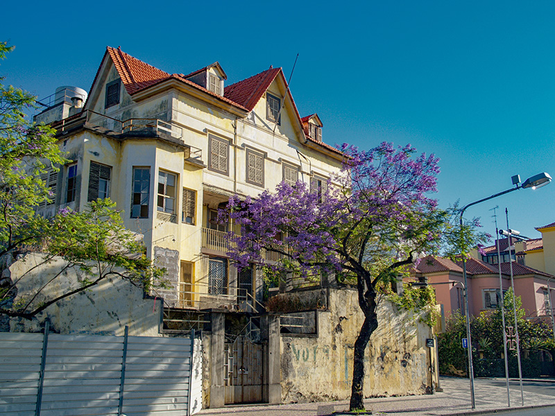 Sc3152.jpg